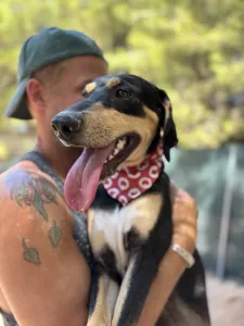 Adopt Axileas