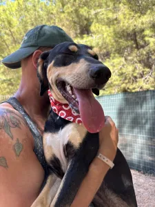 Adopt Axileas