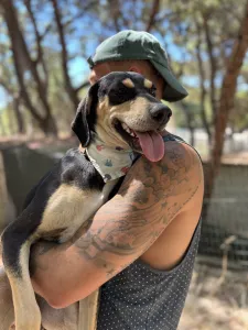 Adopt Odiseas