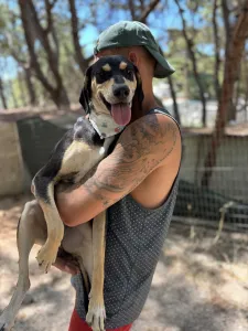 Adopt Odiseas