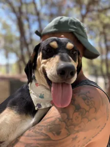 Adopt Odiseas