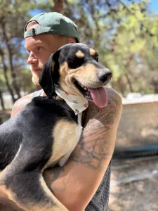 Adopt Odiseas