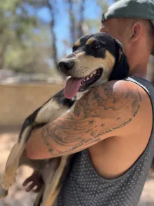 Adopt Odiseas