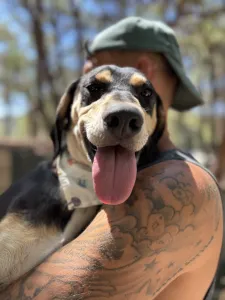 Adopt Odiseas