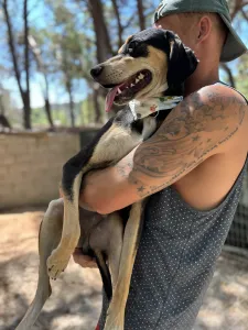 Adopt Odiseas