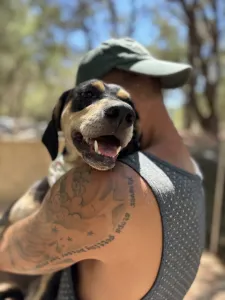 Adopt Odiseas