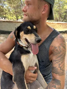 Adopt Odiseas