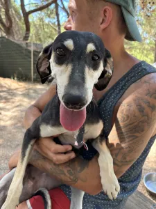 Adoption profile for Katia