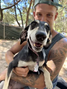 Adoptie hond Katia
