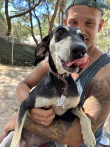 Adoptie hond Katia