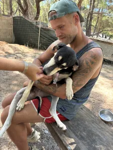 Adoptie hond Katia