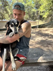 Adoptie hond Katia