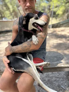 Adoptie hond Katia