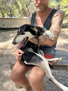 Adoptie hond Katia