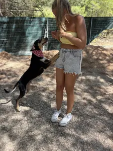 Adopt Axileas