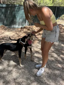 Adopt Odiseas