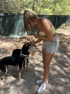 Adopt Axileas