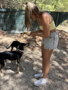 Adopt Odiseas