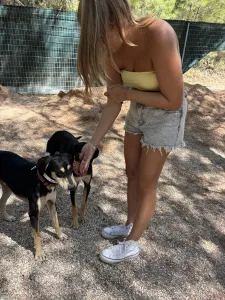Adopt Axileas