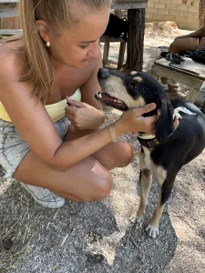 Adopt Odiseas