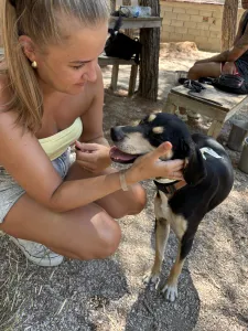 Adopt Odiseas