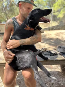 Adopt Simba