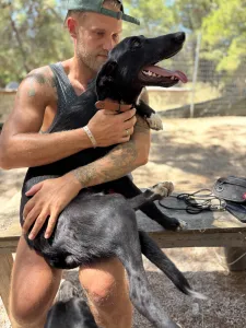 Adopt Simba