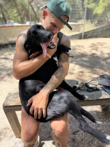 Adopt Simba
