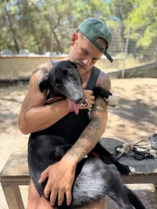 Adopt Simba
