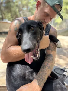 Adopt Simba