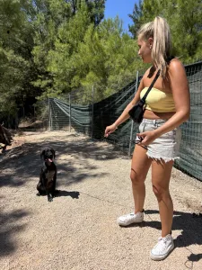 Adopt Mini