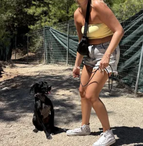 Adopt Mini