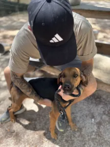 Adoptie hond Troufa