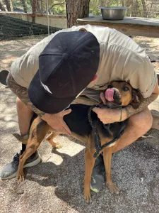 Adoptie hond Troufa