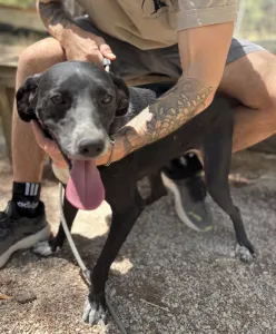 Adopt Eni