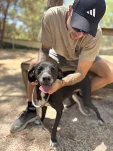 Adopt Eni