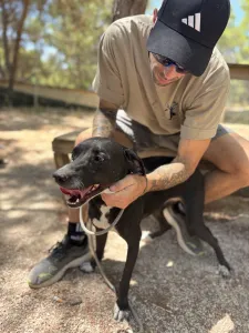 Adopt Eni