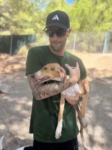 Adopt Mira