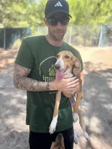 Adopt Mira