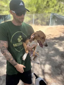 Adopt Mira