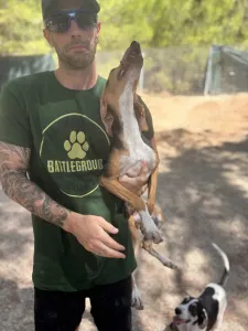 Adopt Mira