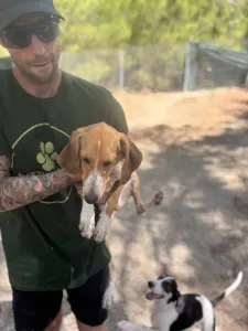 Adopt Mira