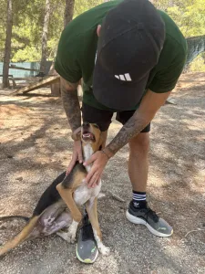 Adopt Mira
