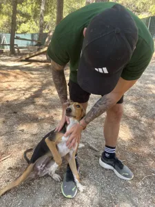 Adopt Mira