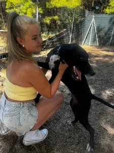 Adopt Loco