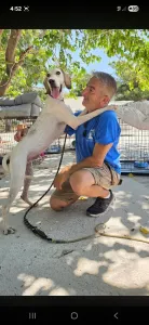 Adopt Roc