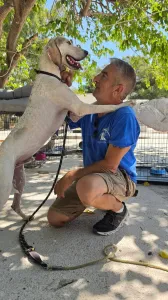 Adopt Roc