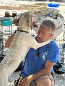 Adopt Roc