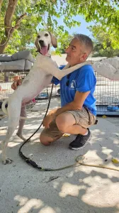 Adopt Roc