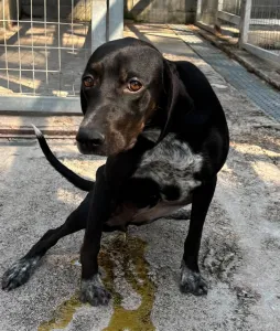Adoption profile for Jorun